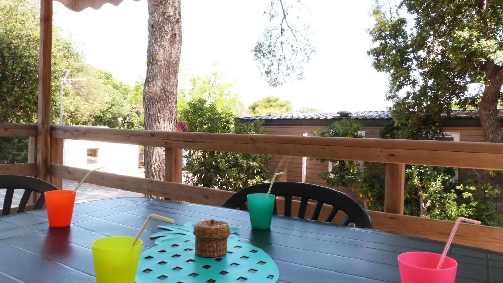Campsite Camping Le Mediterranee Hyeres